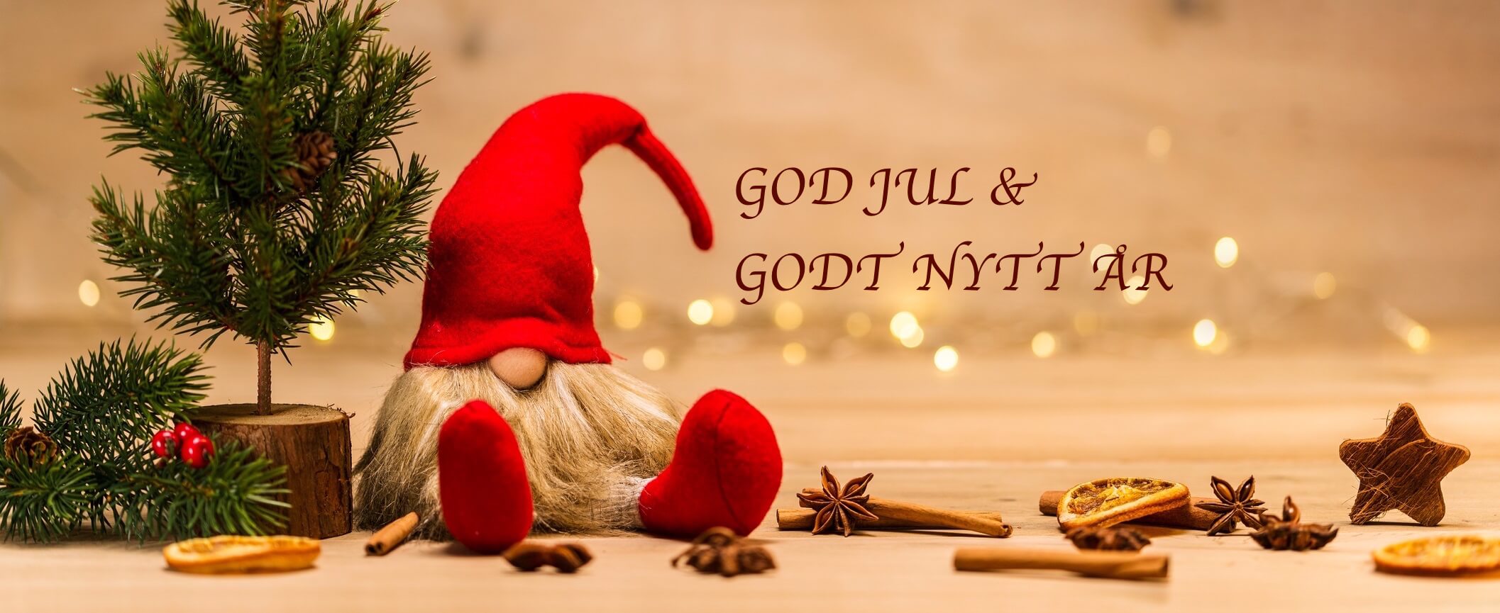 Godjulgodtnyttår Indus